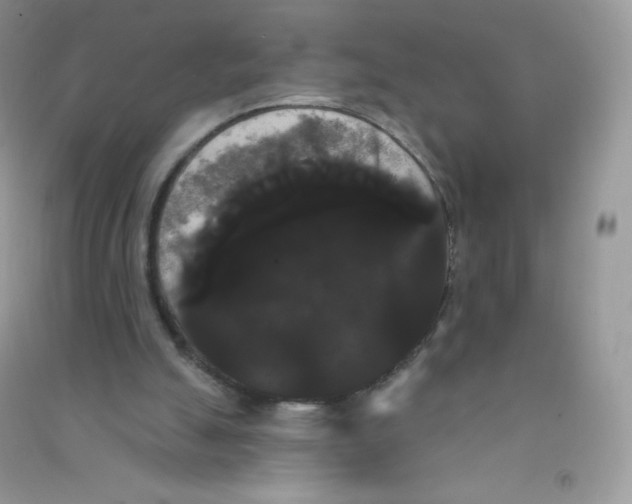 X0000090710055200708171914