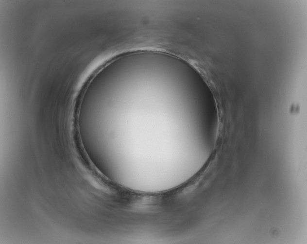 X0000090710056200708171914