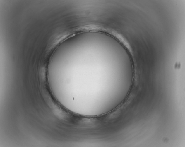 X0000090710057200708171914