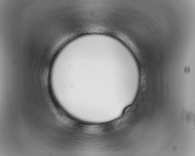 X0000090710058200708171914