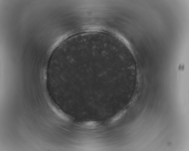 X0000090710059200708171914