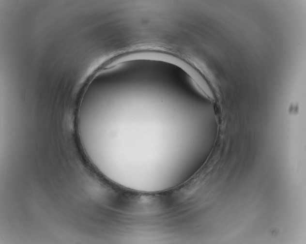 X0000090710060200708171914