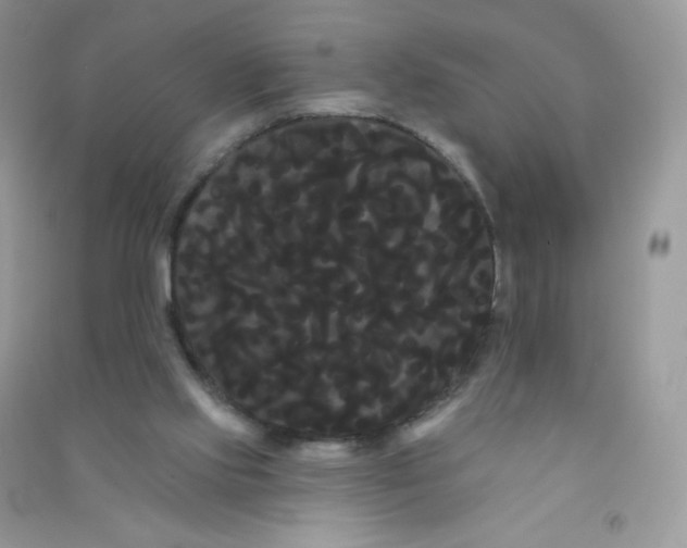 X0000090710061200708171914