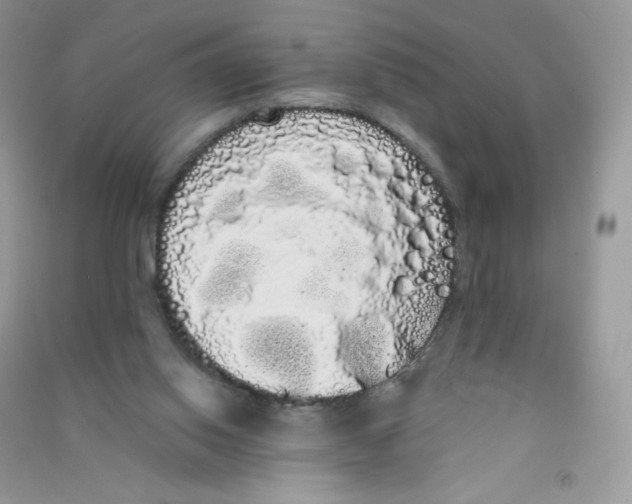 X0000090710062200708171914