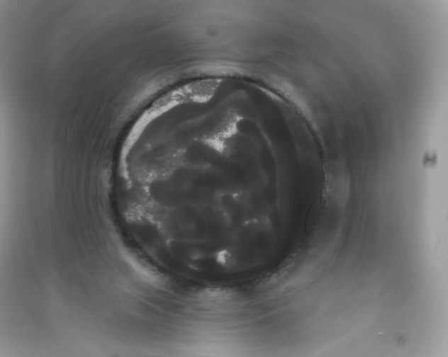 X0000090710063200708171914