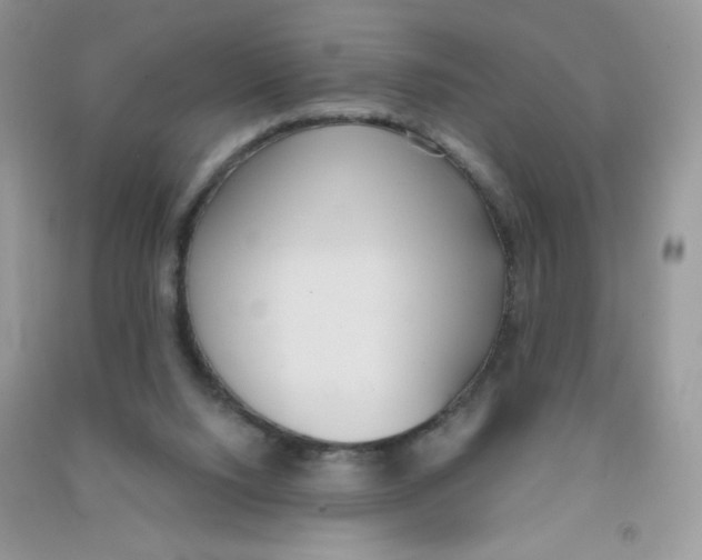 X0000090710064200708171914