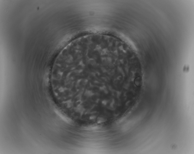 X0000090710065200708171914