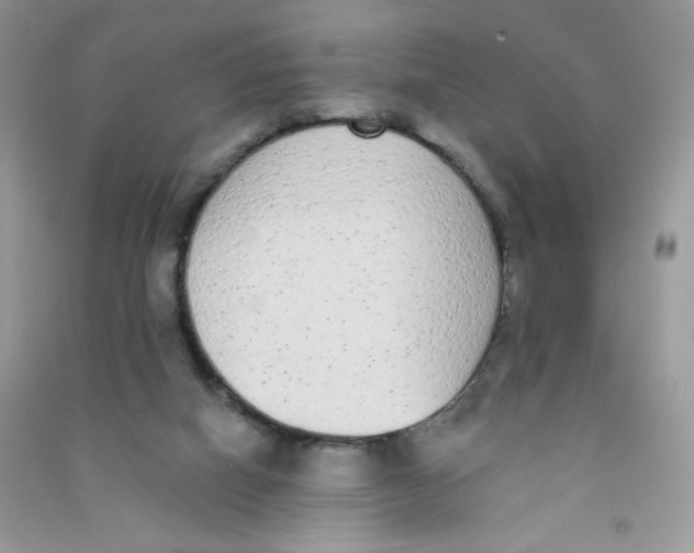 X0000090710066200708171914