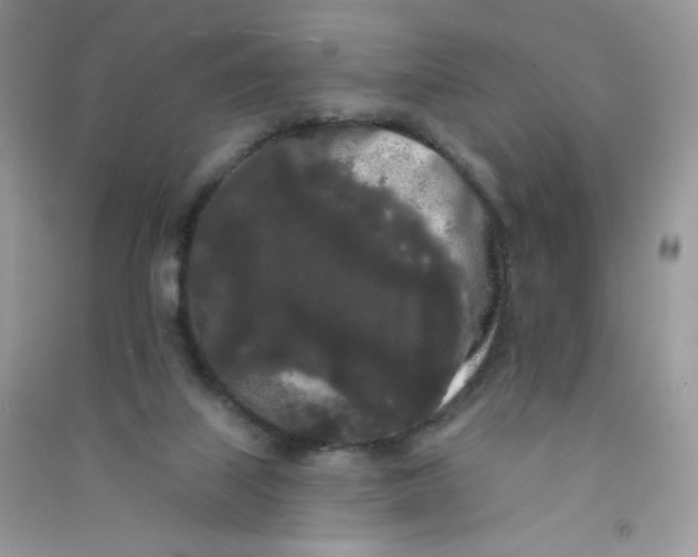 X0000090710067200708171914