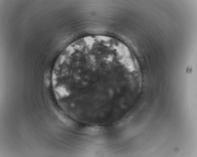 X0000090710069200708171914