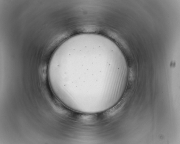 X0000090710070200708171914