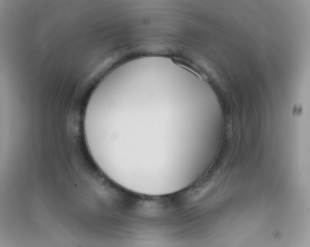 X0000090710072200708171914