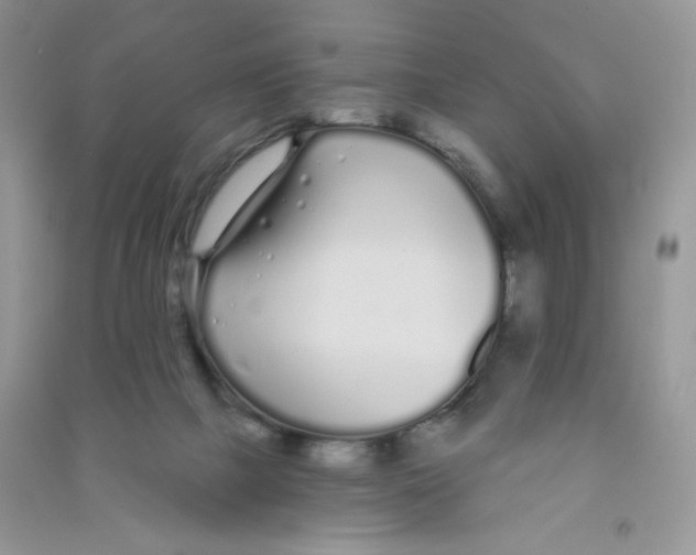 X0000090710073200708171914