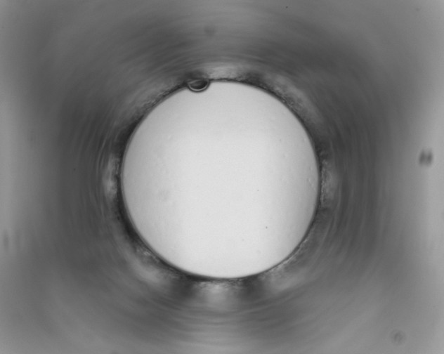 X0000090710074200708171914