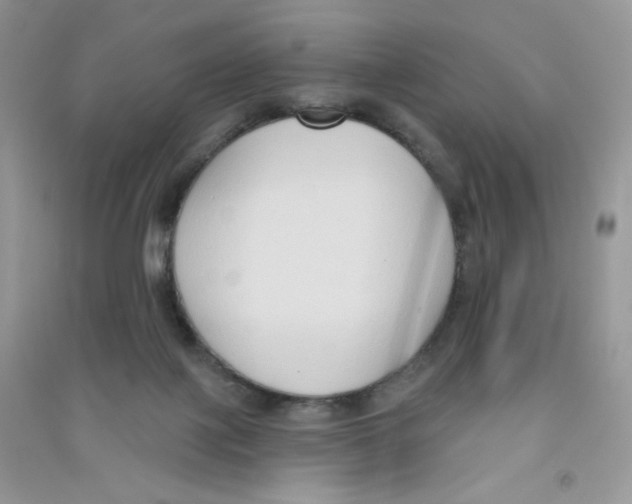 X0000090710075200708171914