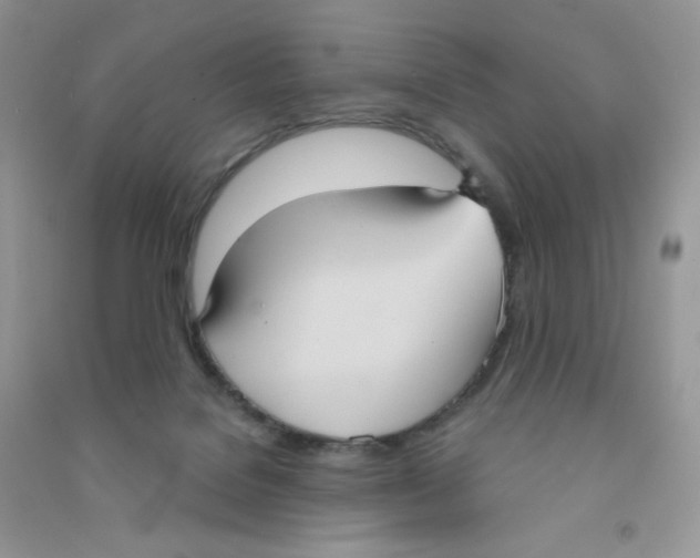 X0000090710076200708171914