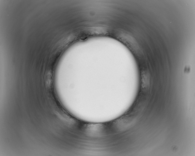 X0000090710077200708171914