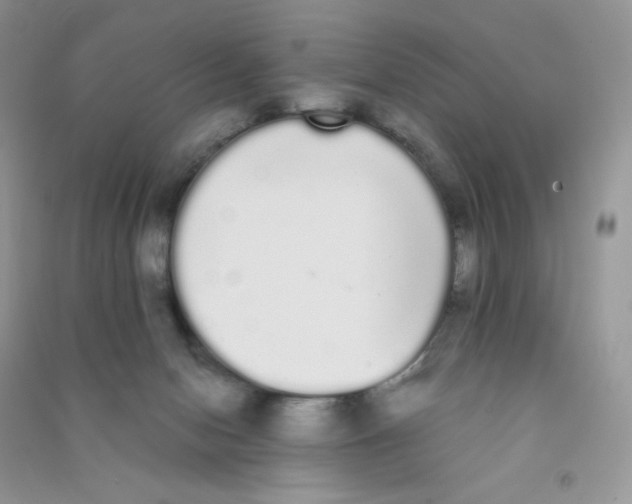 X0000090710078200708171914