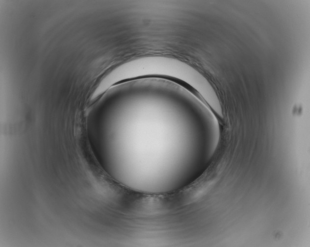 X0000090710080200708171915