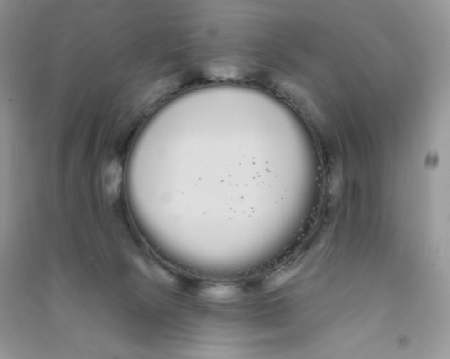 X0000090710081200708171915