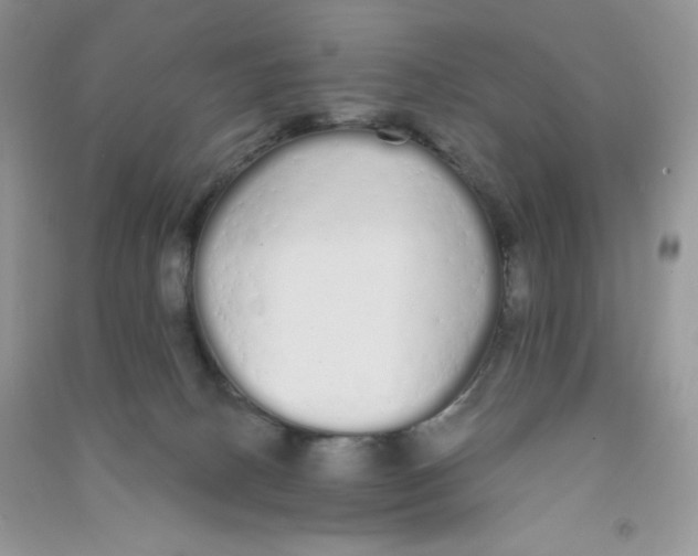 X0000090710082200708171915