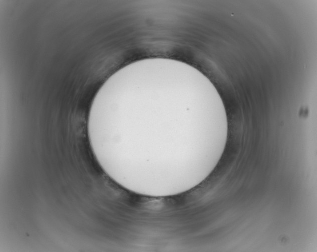 X0000090710083200708171915