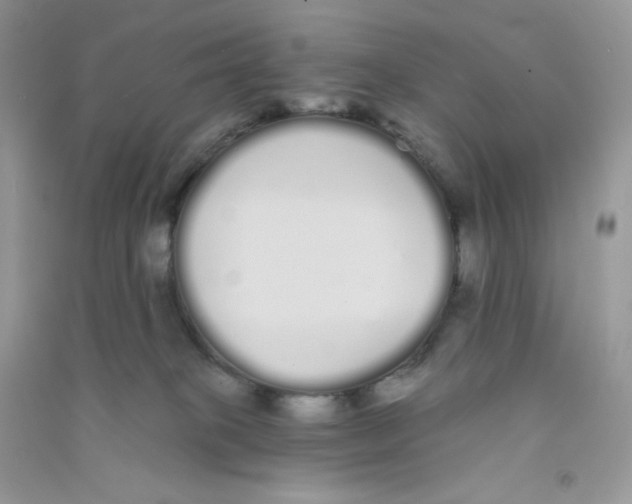 X0000090710085200708171915