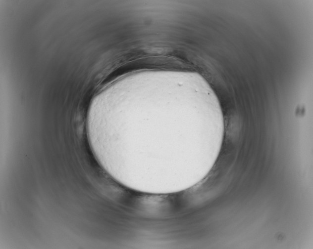 X0000090710086200708171915