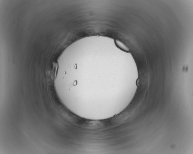 X0000090710087200708171915