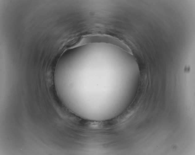 X0000090710088200708171915