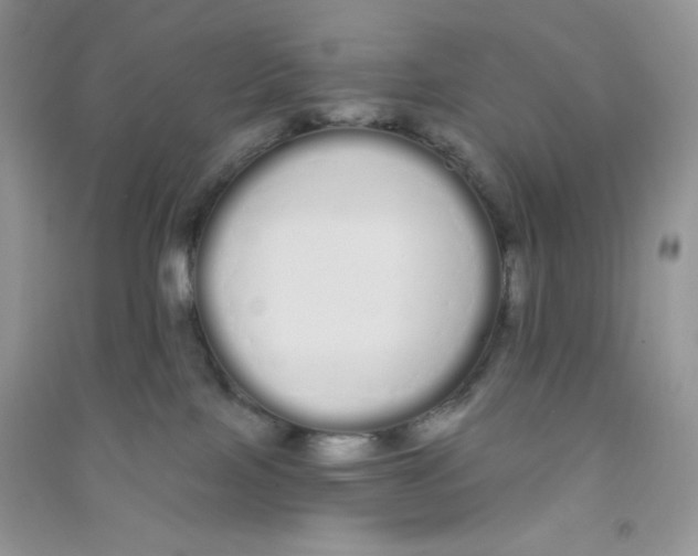 X0000090710089200708171915