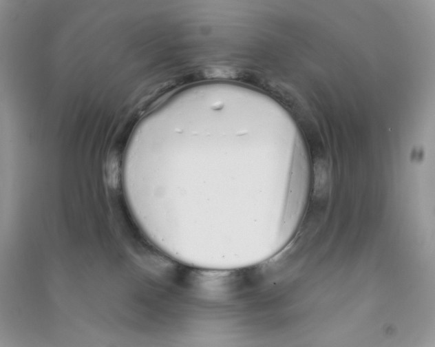 X0000090710090200708171915