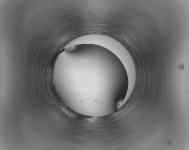 X0000090710092200708171915