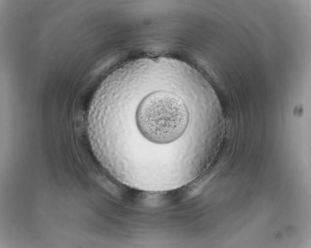 X0000090710093200708171915