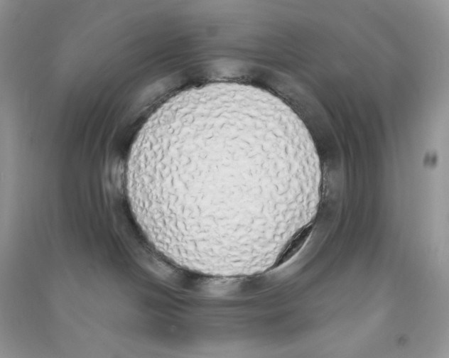 X0000090710094200708171915