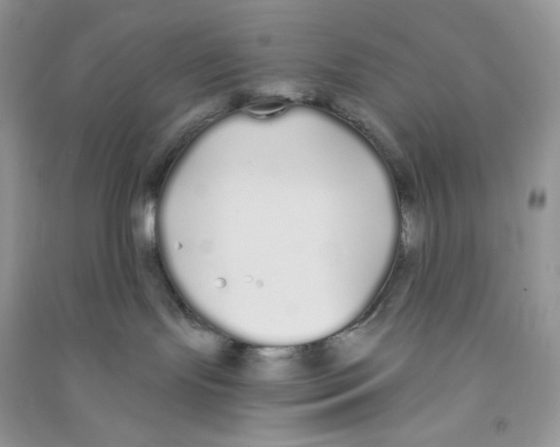 X0000090710095200708171915