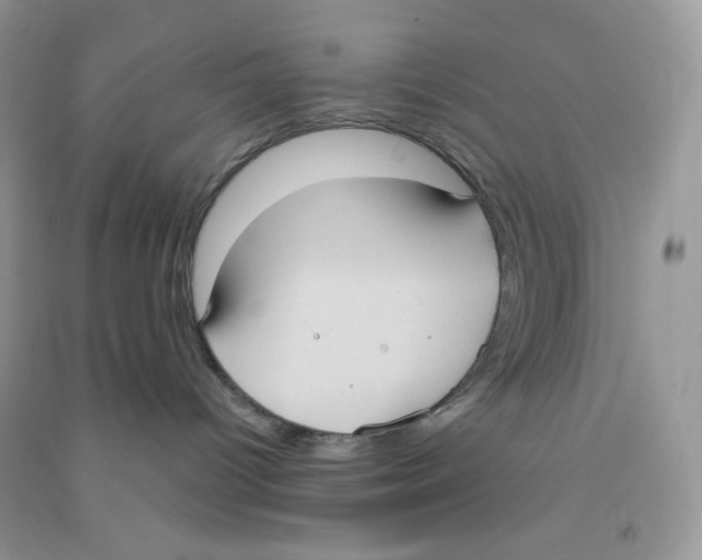 X0000090710096200708171915