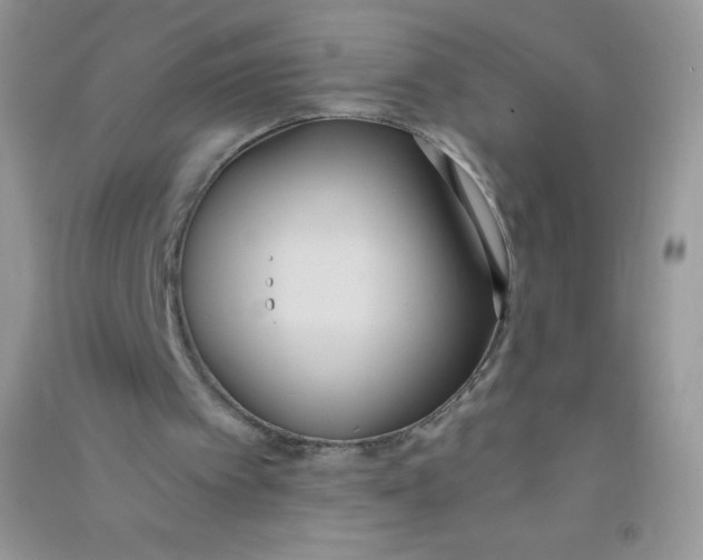 X0000090710097200708171914