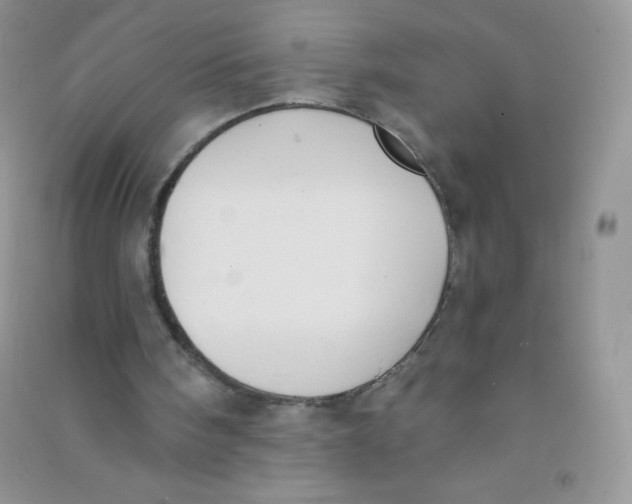 X0000090710098200708171914