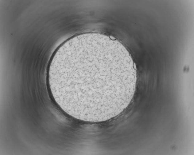 X0000090710100200708171914