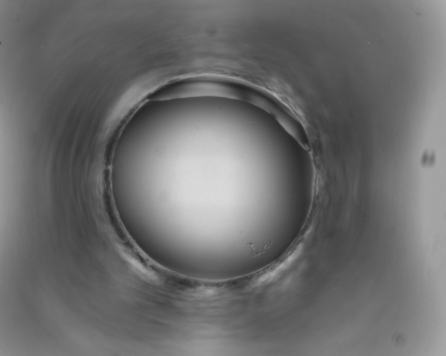 X0000090710101200708171914