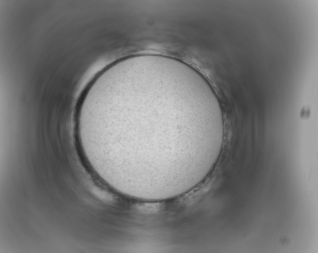 X0000090710102200708171914