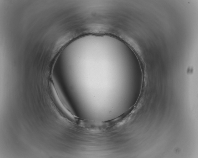 X0000090710105200708171914