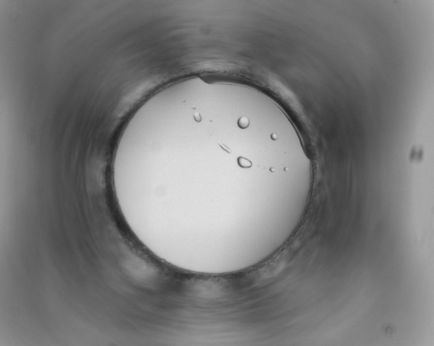 X0000090710106200708171914