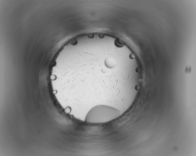 X0000090710107200708171914