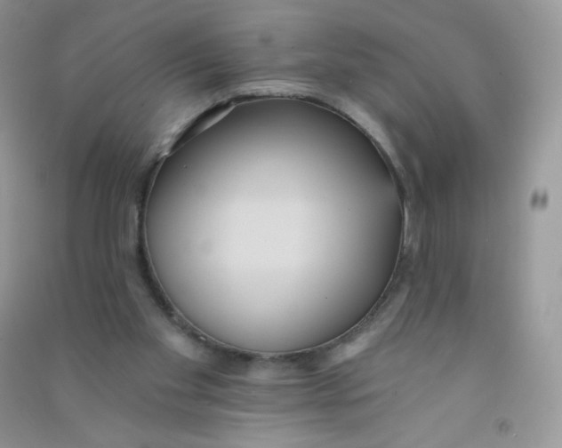 X0000090710109200708171914