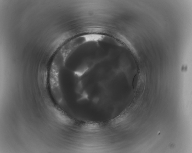 X0000090710110200708171914