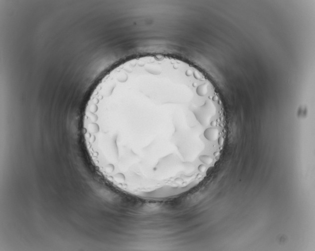 X0000090710111200708171914