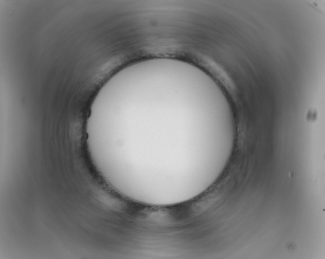 X0000090710113200708171914