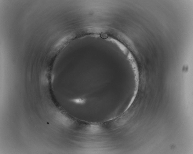 X0000090710114200708171914